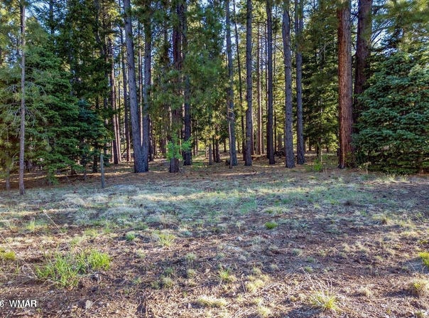 10 N 1337, Greer, AZ 85927