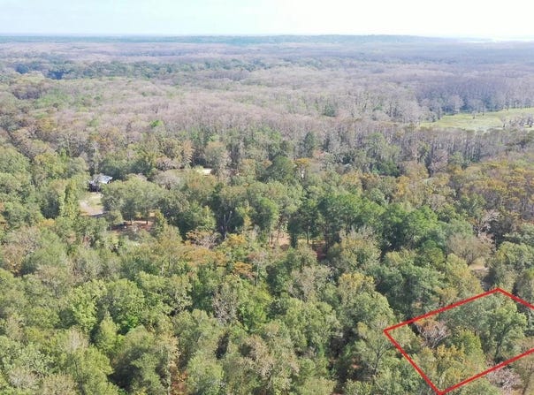 Jackson Arm Rd, Karnack, TX 75661