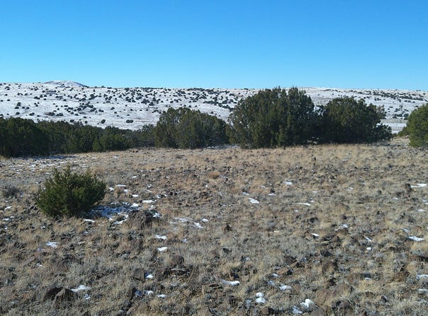 Concho Valley, Concho Valley, AZ 85924