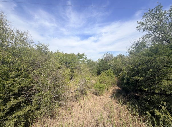 CR 3824, Wills Point, TX 75160