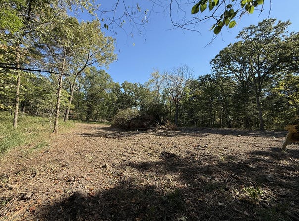 203, Wheatland, MO 65779