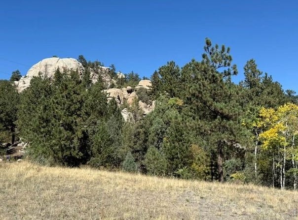 TBD Bald Mountain Dr, Livermore, CO 80536