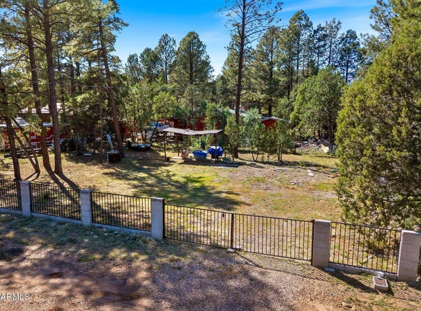 2936 MOGOLLON Drive, Overgaard, AZ 85933