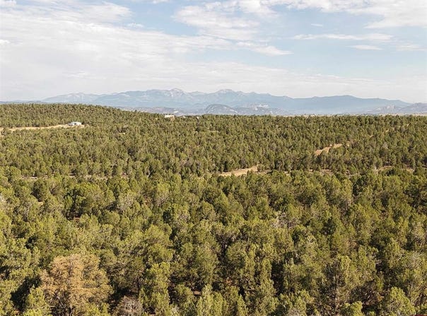 CR 310, Ignacio, CO 81137