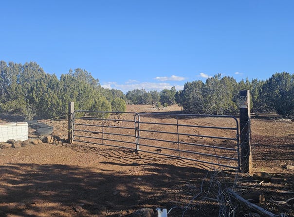 9383 Bald Eagle Road, Show Low, AZ 85901