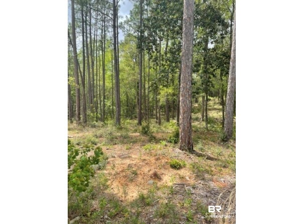 Elderberry Drive, Daphne, AL 36526
