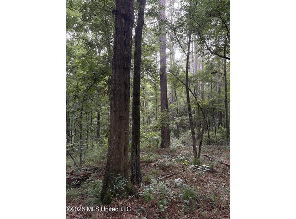 Shiloh Road, Pelahatchie, MS 39145