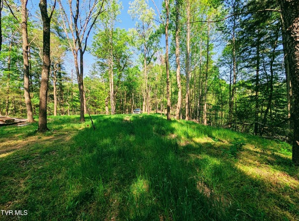 Leaf Ridge, Clintwood, VA 24228
