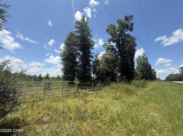 Peanut Road, Cottondale, FL 32431