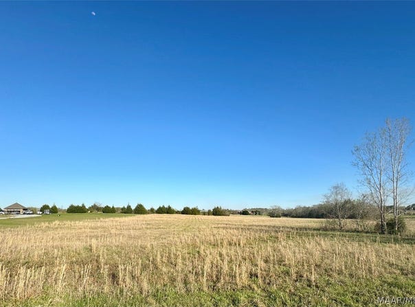 KERINGTON Lane lot: 52, Pike Road, AL 36064