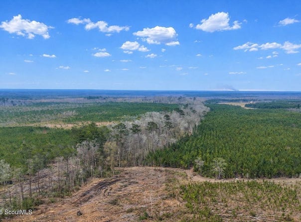 Highway 121, Glennville, GA 30427