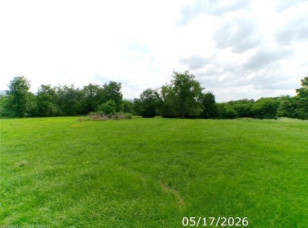 TBD Pine lot: 0, Altus, AR 72821