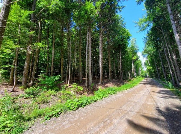 Map18Lot27 Sandy Beach Road, Danforth, ME 04424