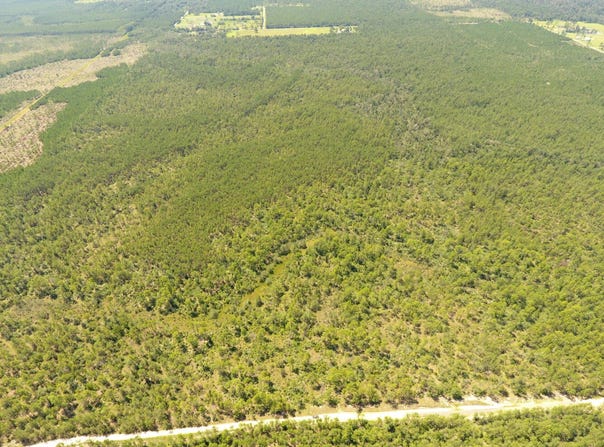 Frank Trahan Road, Reeves, LA 70658