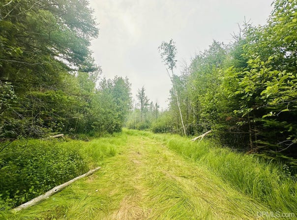 I Road, Bark River, MI 49807
