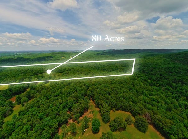 298 Eaton Run, Wasola, MO 65773