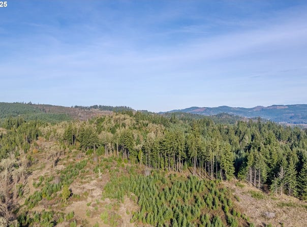 Holly - Lot 2, CottageGrove, OR 97424