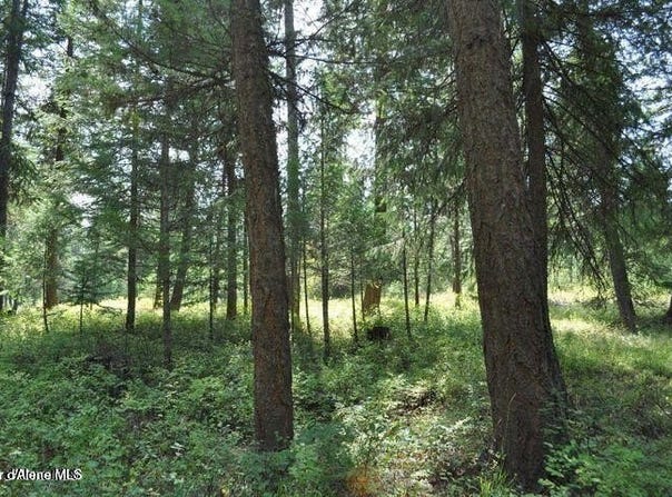 39 Forest Ridge Rd, Blanchard, ID 83804
