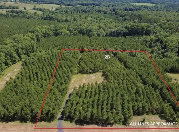 Tract 2B Avalon Lake Lane, Mena, AR 71953
