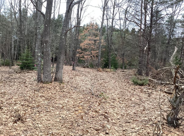 2510 W Winston Road, Rothbury, MI 49452
