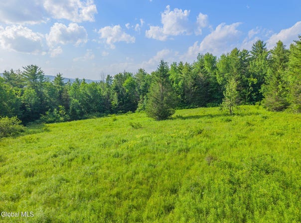 L6 Guinea Road, Middleburgh, NY 12122