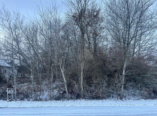 6961 Riverwood Drive, Belding, MI 48809