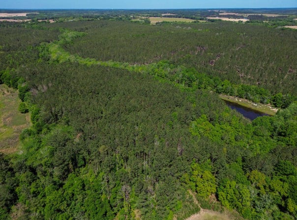 Gantt Road, Red Level, AL 36474