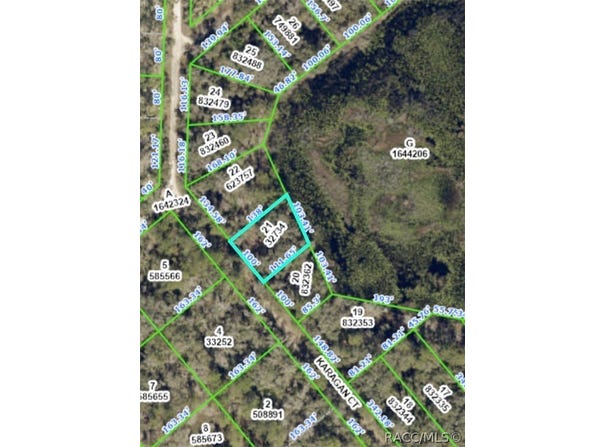 Karagan Court, Webster, FL 33597