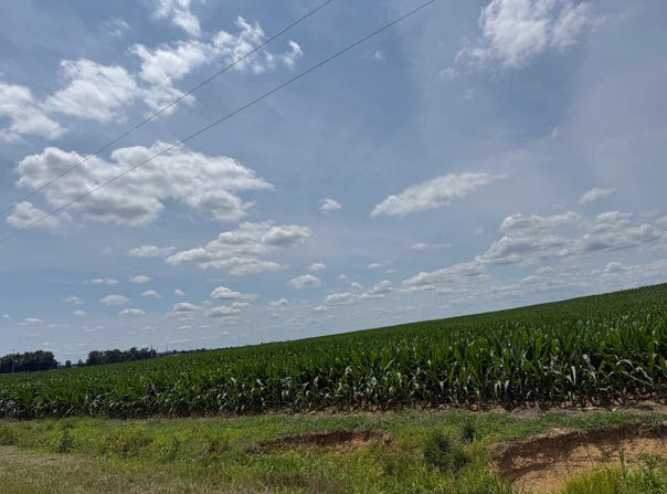 2025 CR 1050 E, Carmi, IL 62821