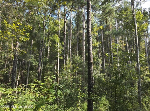 Jw Jones, Oak Vale, MS 39656