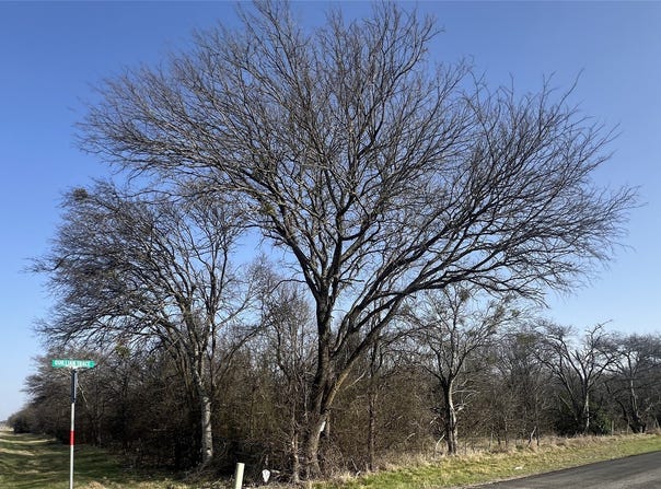 13700 Gholson Road, Gholson, TX 76705