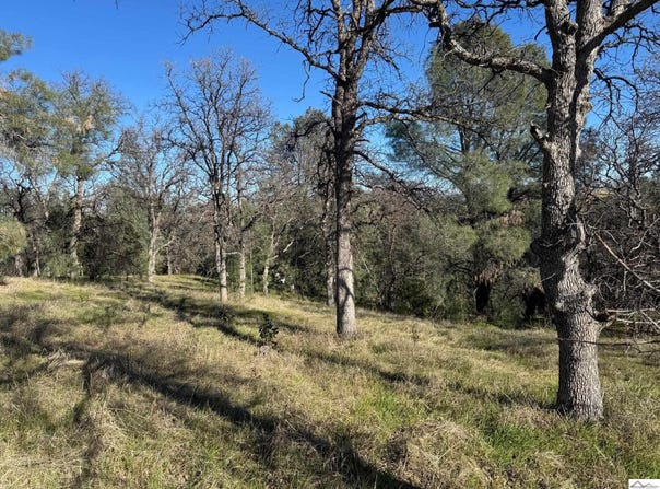 16380 Hillcrest Road, Corning, CA 96021
