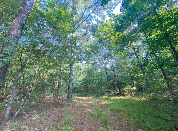 71 Eagle Pine Lane, Broken Bow, OK 74728