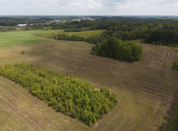 SR 1 lot: 2, West Harrison, IN 47060