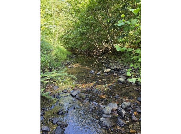 Forest Service Road, Mena, AR 71953