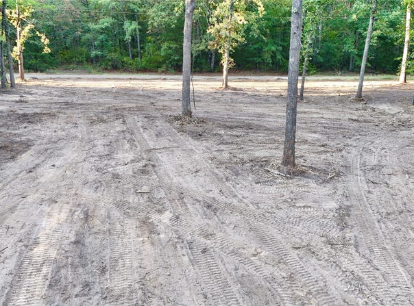 Bluebonnet Trail, Mount Vernon, TX 75457