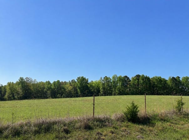 Spires Rd., Damascus, AR 72039