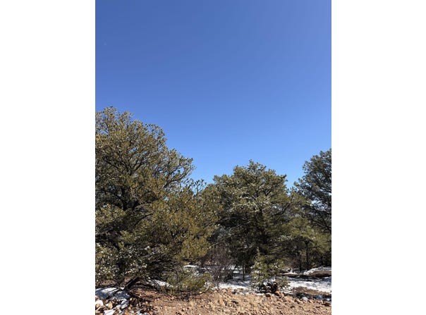 41st Trail, Cotopaxi, CO 81223