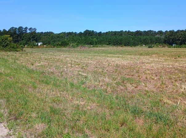 Strickland Rd., Green Sea, SC 29545