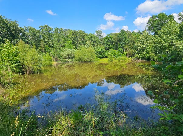 65 Gunslinger Drive, Brixey, MO 65618