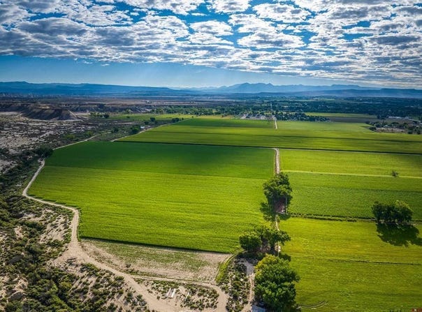 1449 Highway 50, Delta, CO 81416