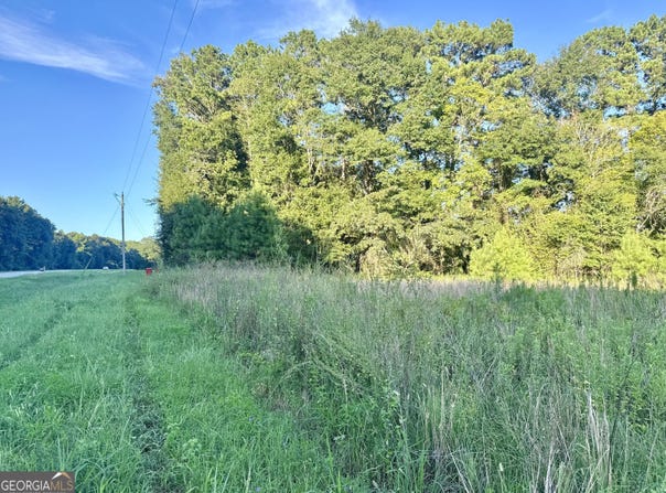 Hwy 62, Blakely, GA 39823