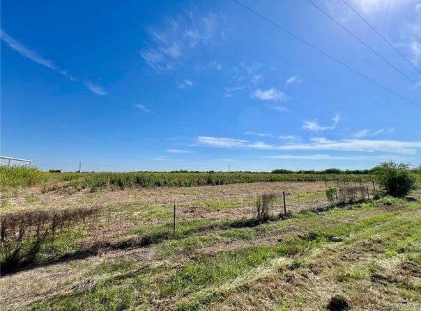 7821 Mile 19, Edcouch, TX 78538