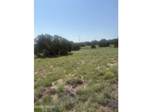 5064 Concho Drive, Concho, AZ 85924