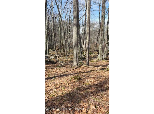 whitetail circle, Lackawaxen, PA 18435