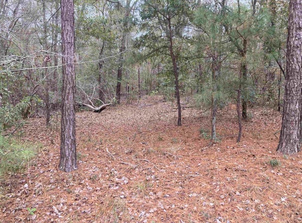 Persimmon Ford Rd., Johnsonville, SC 29555