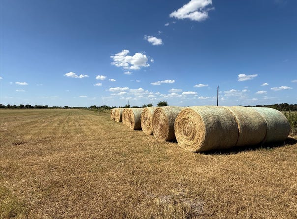 9999 FM 2745, Kosse, TX 76653