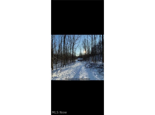 Winterberry Lane, Chardon, OH 44024