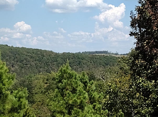 HWY 9 S, Mountain View, AR 72560