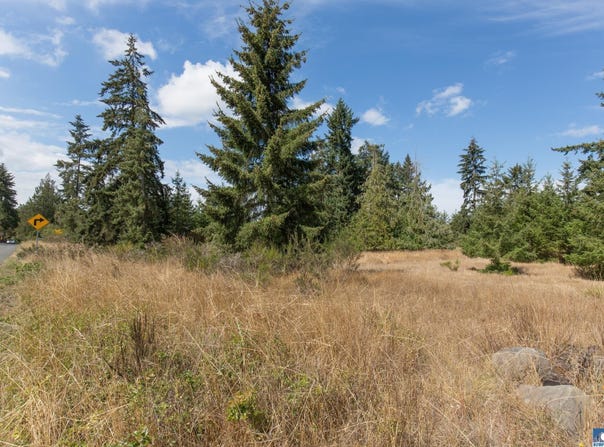 Secor Road lot: 2, Sequim, WA 98382-0000